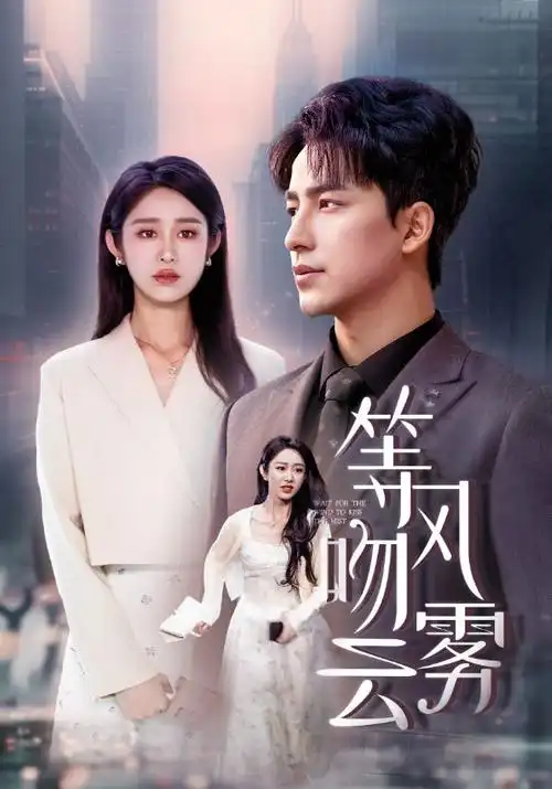 无眠警探 电视剧